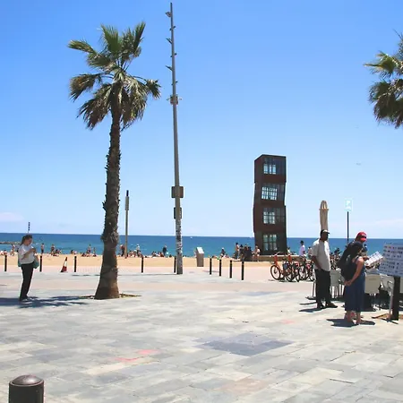 Great In Barceloneta Close To The * バルセロナ